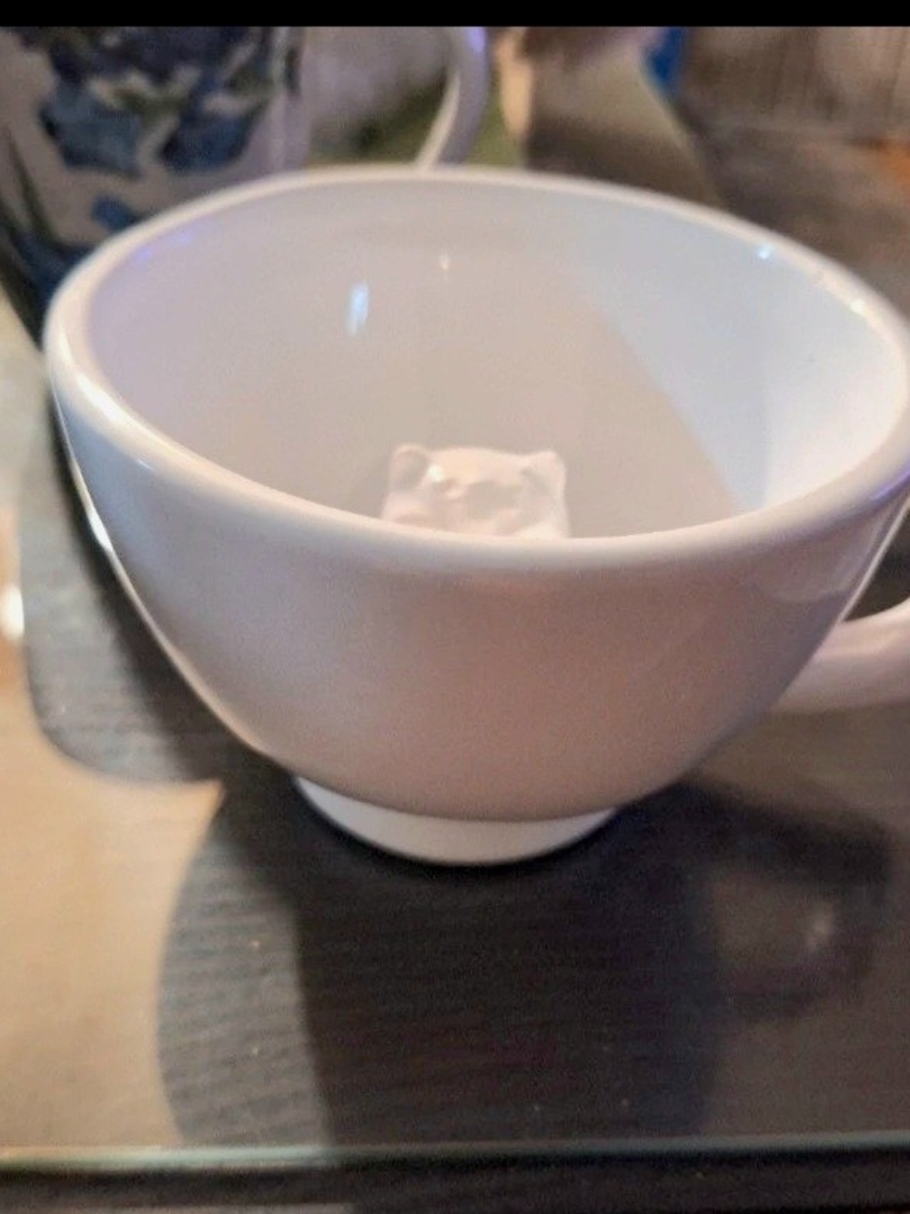 White OWL Ceramic Coffee Cup with Hidden Owl In Cup With PERKY Owl Inside
